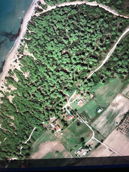 Villa Anastasia! In Strofylia Pine Forest!!! Manoláda Kültér fotó