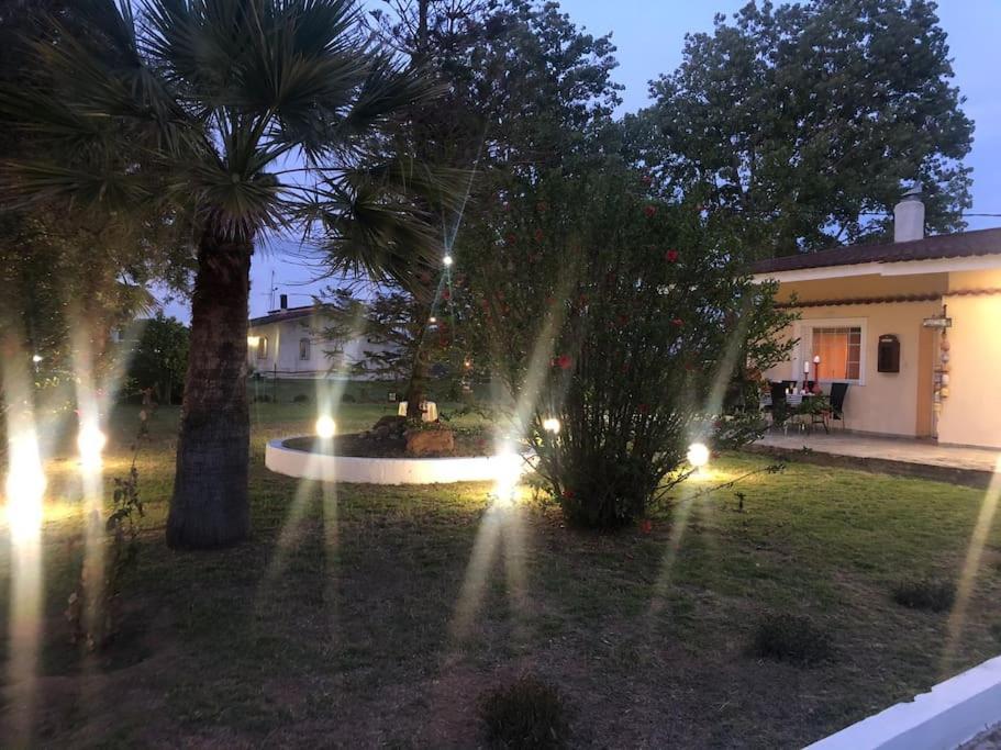 Villa Anastasia! In Strofylia Pine Forest!!! Manoláda Kültér fotó